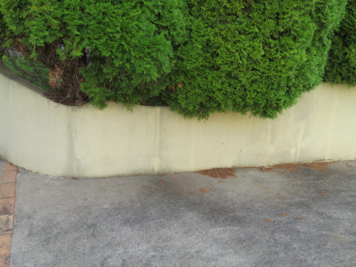 施工前(カースペース)